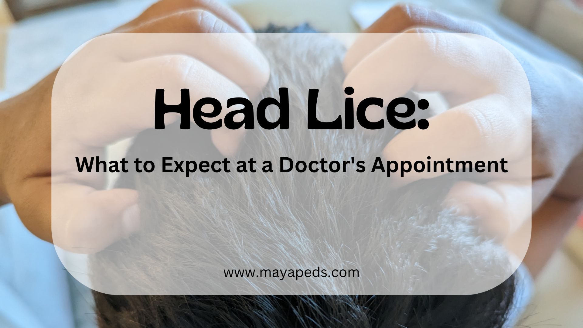 image of two hands scratching an itchy scalp. text overlaying the image reads: head lice what to expect at a doctor's appointment. www.mayapeds.com